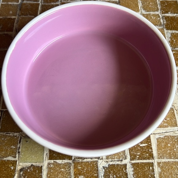 Rae Dunn Pet Bowl Drink Up Small Pet Dog Cat - Picture 3 of 6